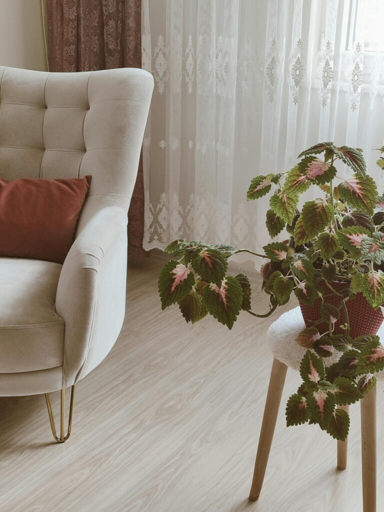 Consultation individuelle - thérapie